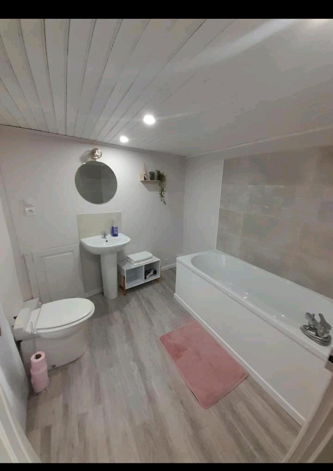 A Mammulejiu Apartment Thiers Exterior photo
